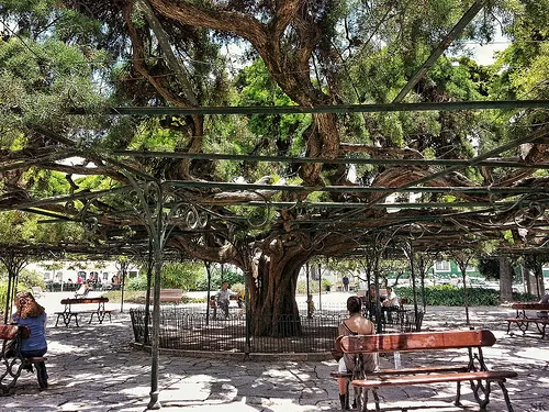 Hoteles en Príncipe Real