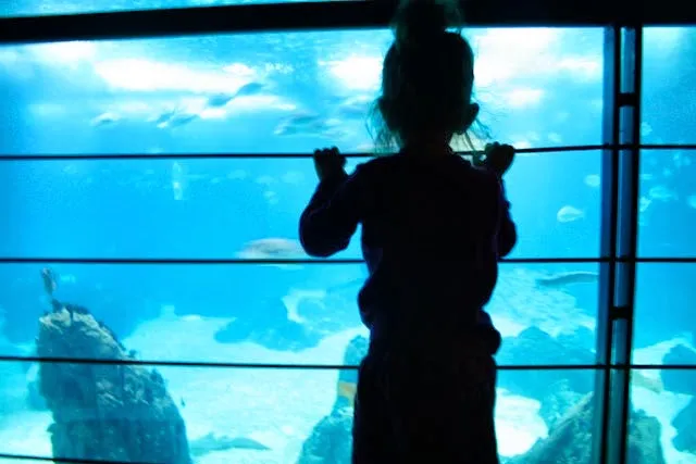 Oceanário de Lisboa