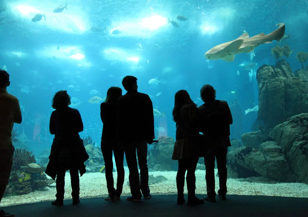 Oceanário de Lisboa