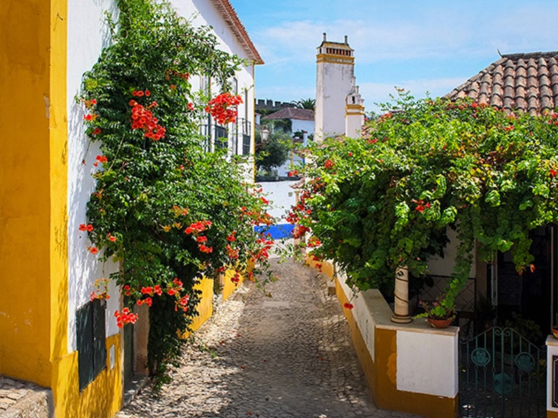 Excursión a Óbidos desde Lisboa con guía interactivo